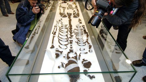 Journalisten schauen sich in Hamburg die 2650 Jahre alten sterblichen Überreste eines Mädchens, das im Uchter Moor in Niedersachsen gefunden wurde. Hamburger Rechtsmediziner wollen der niedersächsischen Moorleiche "Moora" ein Gesicht geben. (Foto: picture-alliance / Reportdienste, Maurizio Gambarini)