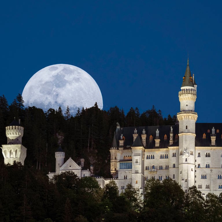 Dämmerung über Schloss Neuschwanstein (Foto: IMAGO, Foto: Peter Widmann)