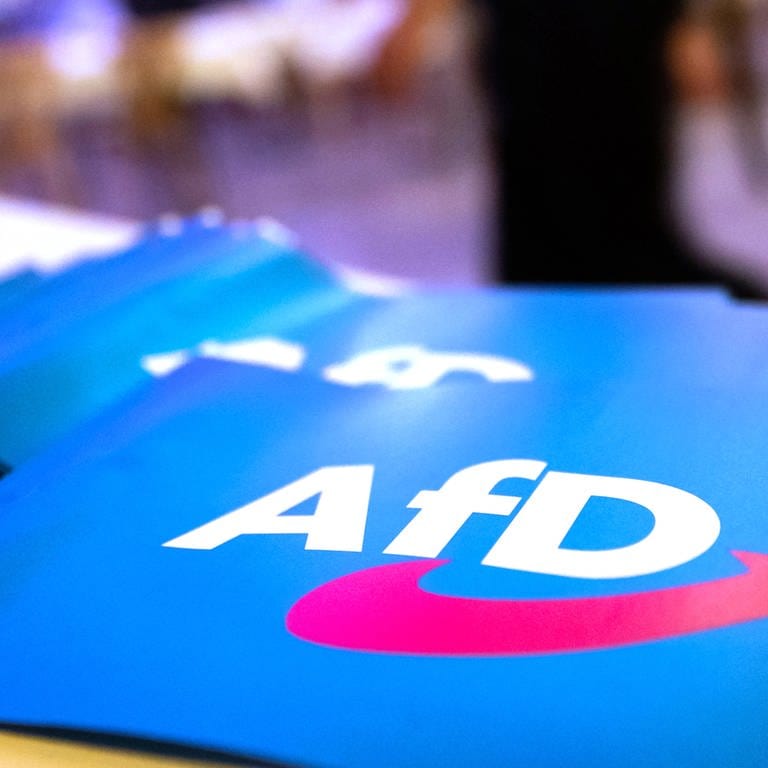 Fähnchen mit dem Logo der AfD liegen auf einem Tisch. (Foto: dpa Bildfunk, picture alliance/dpa | Daniel Karmann)