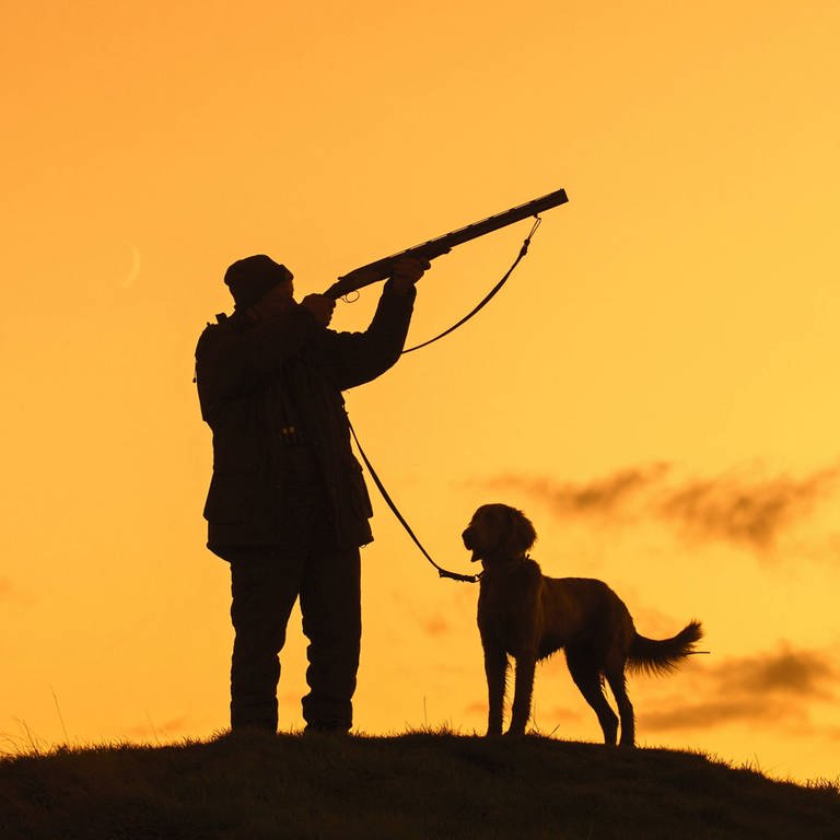 Hunter in meadow at sunset with hunting rifle Symbolfoto (Foto: IMAGO, alimdi)