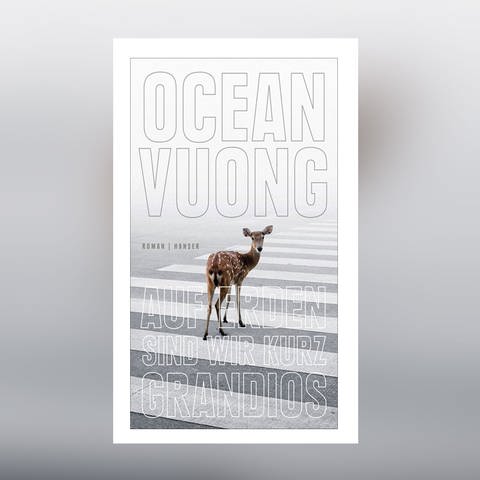 Ocean Vuong: Auf Erden sind wir kurz grandios (Foto: Hanser)