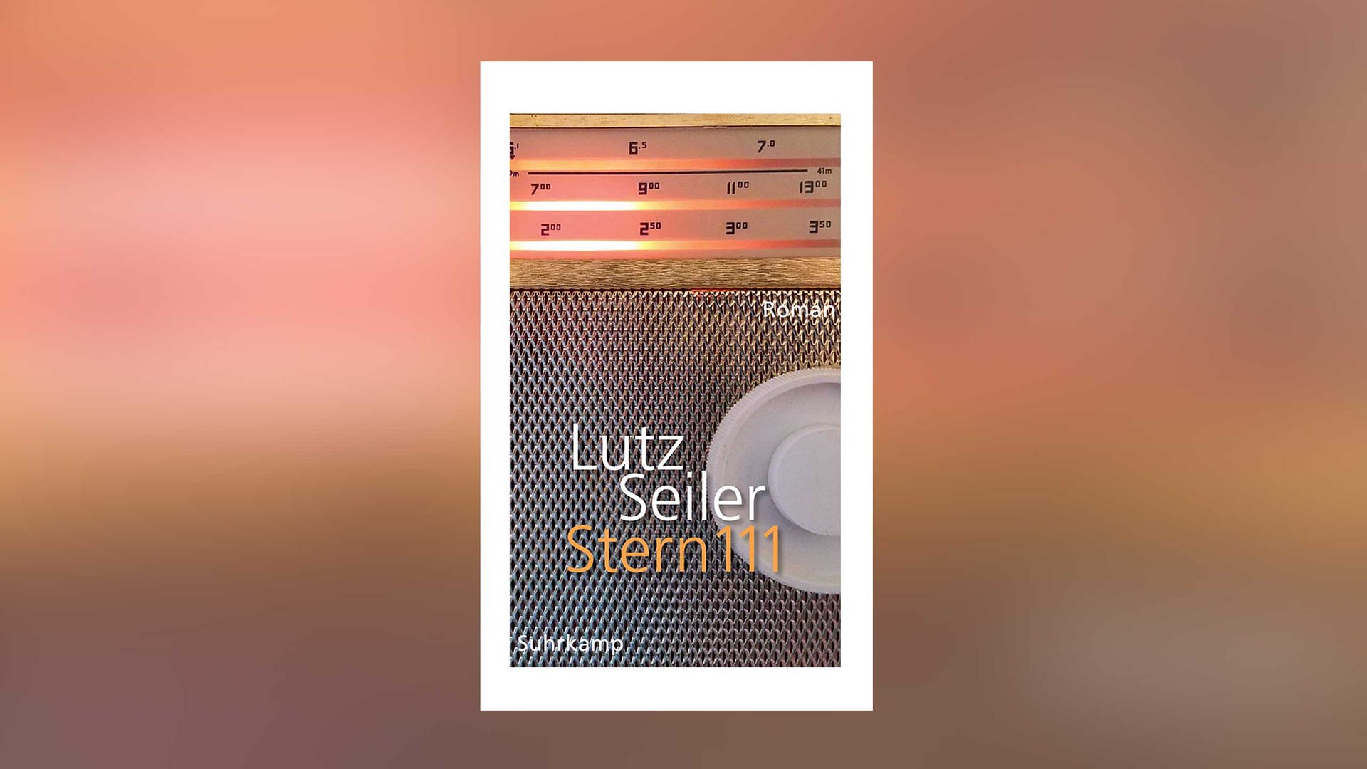 Lutz Seiler Stern 111 Swr2