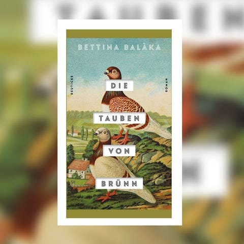 Bettina Balàka: Die Tauben von Brünn (Foto: Deuticke Verlag)