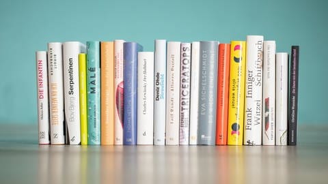 Bücher auf der Longlist zum Deutschen Buchpreis 2020 (Foto: Pressestelle, Stiftung Buchkultur und Leseförderung des Börsenvereins des Deutschen Buchhandels)