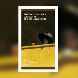 Gustave Flaubert - Lehrjahre der Männlichkeit (Foto: Pressestelle, Hanser Verlag)