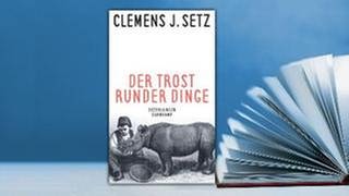 Der Trost runder Dinge, Clemens Setz Cover (Foto: Pressestelle, Suhrkamp Verlag -)