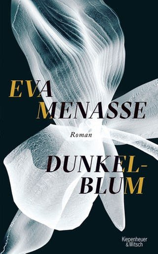 Eva Menasse - Dunkelbum (Foto: Pressestelle, Kiepenheuer & Witsch / © Jörg Steinmetz )