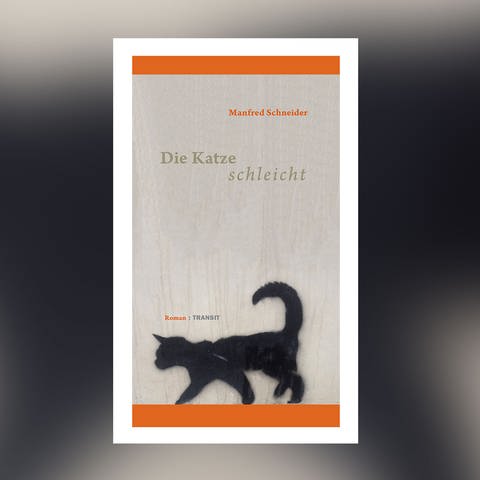 Manfred Schneider - Die Katze schleicht  (Foto: Pressestelle, Transit Verlag)
