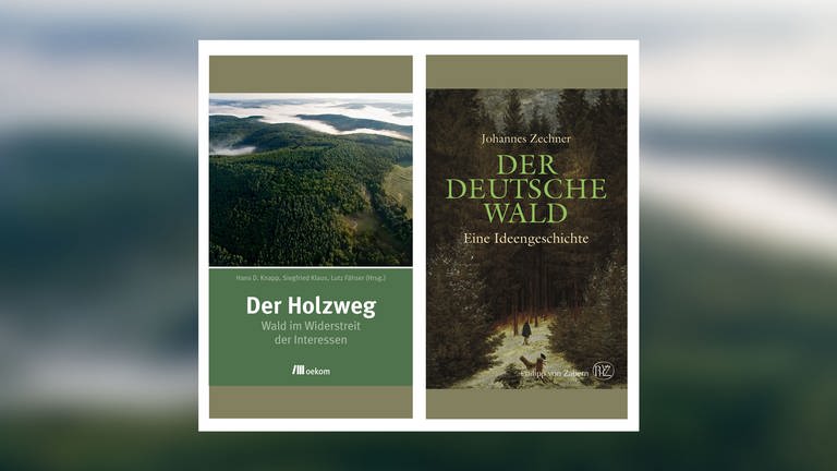 Der Holzweg UND Der deutsche Wald (Foto: Pressestelle, Oekom Verlag und Philipp von Zabern Verlag)