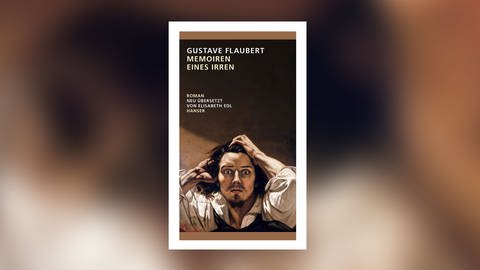 Gustave Flaubert - Memoiren eines Irren (Foto: Pressestelle, Hanser Verlag)