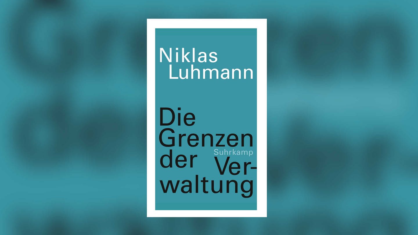 Niklas Luhmann: Die Grenzen der Verwaltung