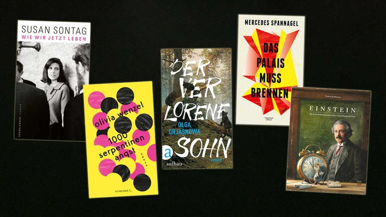 Die Bücher des lesenswert Magazins vom 27.9.2020 (Foto: Pressestelle, Hanser Verlag; S. Fischer Verlag; Aufbau Verlag; NordSüd Verlag)