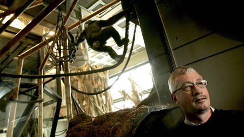 Der niederländische Primatologe und Autor Frans de Waal im Jahr 2006 im Lincoln Park Zoo, Chicago. (Foto: IMAGO, ZUMA Wire)