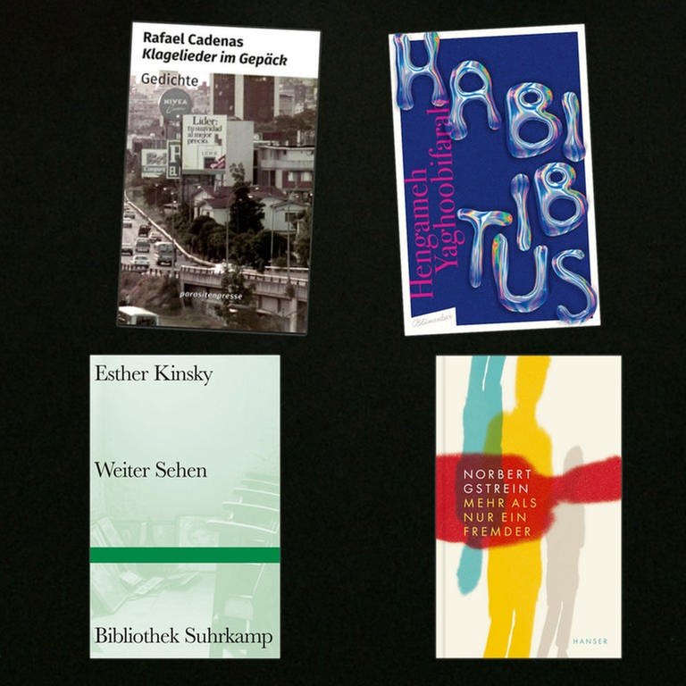 lesenswert Bücher vom 16.4.2023 (Foto: Pressestelle, Parasitenpresse, Hanser Verlag, Blumenbar Verlag, Suhrkamp Verlag)
