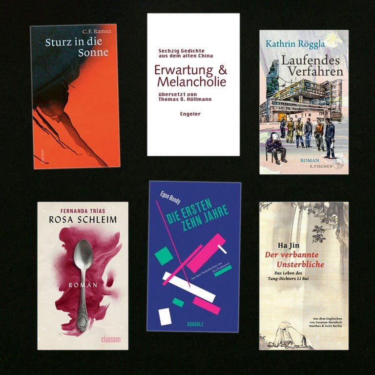 Lesenswert Bücher vom 30.07.2023 (Foto: Pressestelle, S. Fischer Verlag, Matthes & Seitz Verlag, Engeler Verlage, Guggolz Verlag, Limmat Verlag, Claassen Verlag)