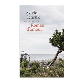 Cover des Buches Sylvie Schenk: Roman d’amour (Foto: Pressestelle, Hanser Verlag)