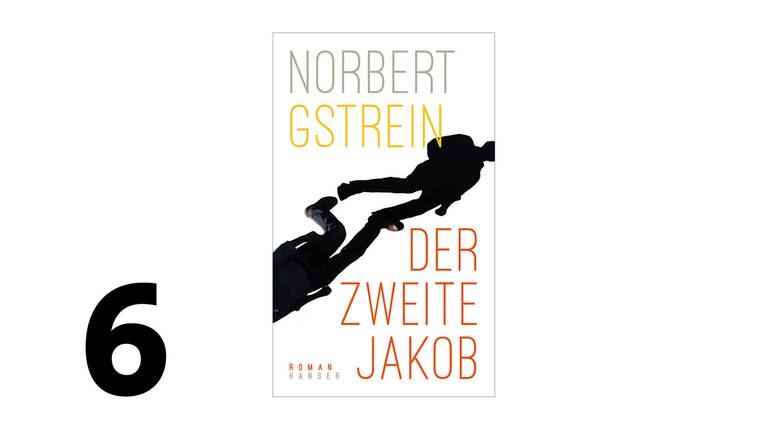 Cover des Buches Norbert Gstrein: Der zweite Jakob (Foto: Pressestelle, Hanser Verlag)
