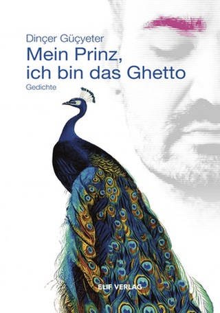 Cover des Buches Dinçer Güçyeter: Mein Prinz, ich bin das Ghetto  (Foto: Pressestelle, Elif Verlag)
