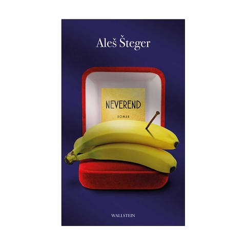 Cover des Buches Aleš Šteger: Neverend (Foto: Pressestelle, Wallstein Verlag)