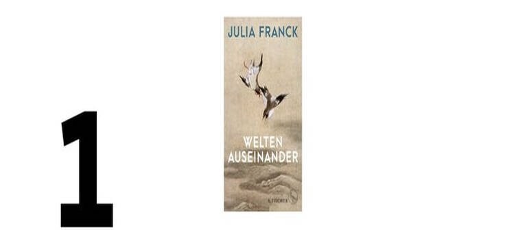 Cover des Buches Julia Frank: Welten auseinander (Foto: Pressestelle, S. Fischer Verlag)