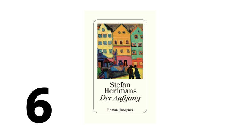 Buchcover von Stefan Hertmans: Der Aufgang (Foto: Pressestelle, Diogenes Verlag)