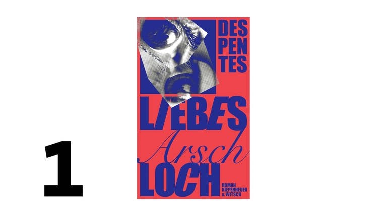 Cover des Buches: Virginie Despentes: Liebes Arschloch (Foto: Pressestelle, Kiepenheuer und Witsch)