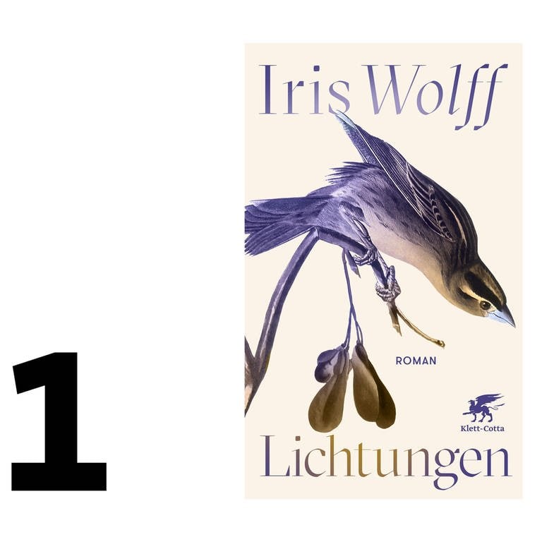 Cover des Buches "Lichtungen" von Iris Wolff (Foto: Pressestelle, Klett-Cotta Verlag)