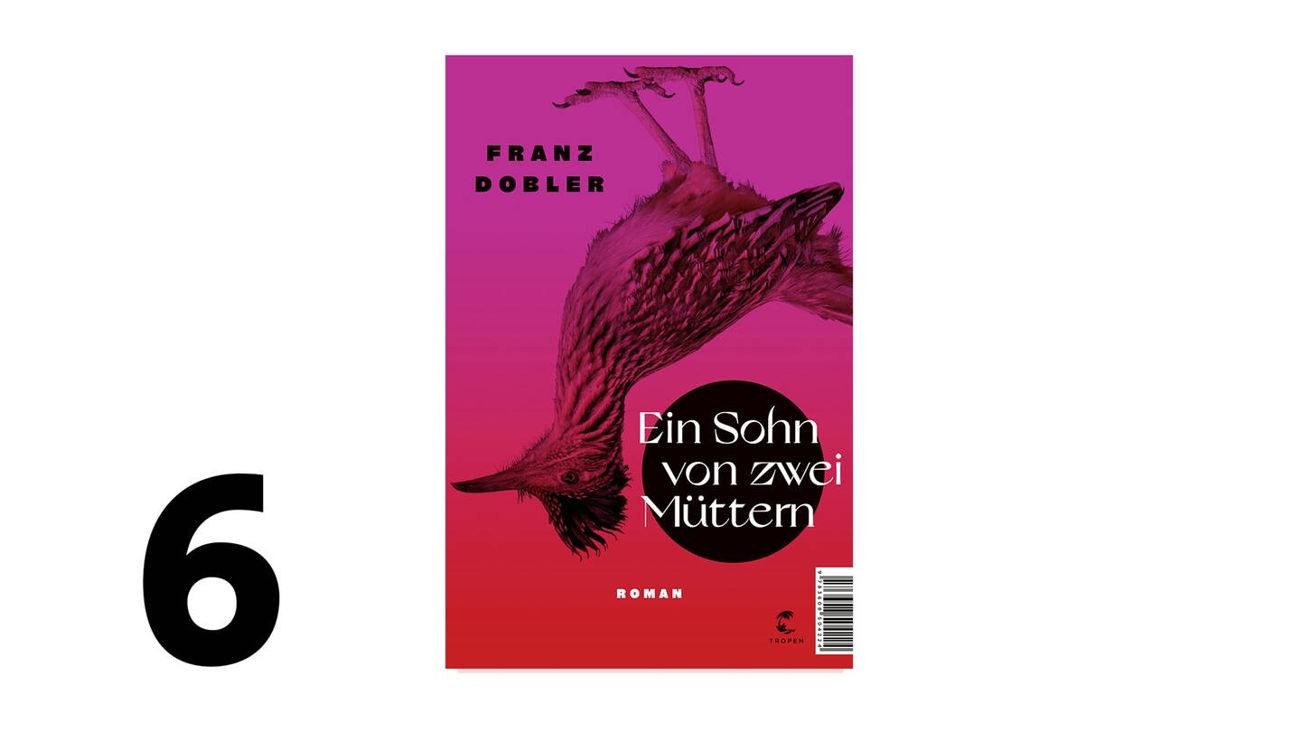 Cover des Buchdes Franz Dobler: Ein Sohn von zwei Müttern (Foto: Pressestelle, Verlag: Tropen Verlag)