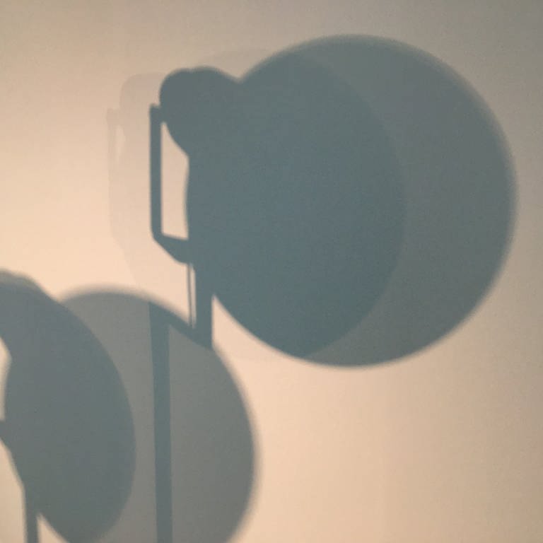 Lautsprecher Schatten an einer Wand (Foto: SWR, Julia Neupert)