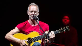 Sting (Foto: imago images, IMAGO / Pacific Press Agency)