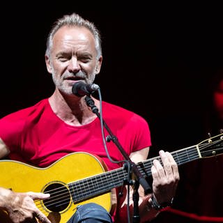 Sting (Foto: imago images, IMAGO / Pacific Press Agency)
