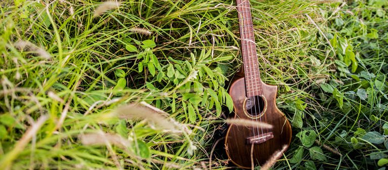 Eine braune Gitarre in einem grünen Gebüsch (Foto: IMAGO, IMAGO / Addictive Stock)