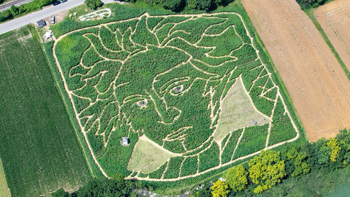 Luftaufnahme Beethoven-Bild als Maisfeld-Labyrinth (Foto: picture-alliance / Reportdienste, Peter Kneffel)