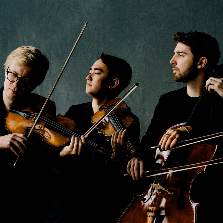 Marmen Quartet (Foto: Pressestelle, Marco Borggreve)