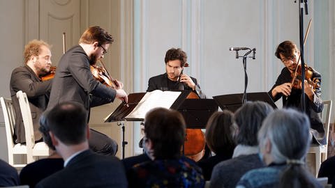 Das Goldmund Quartett spielt Haydn, Schostakowitsch und Schubert (Foto: SWR, Bianca Bapst)