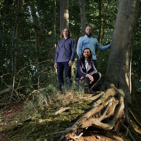 Das Emil Brandqvist Trio neben einem Baum im Wald  (Foto: Pressestelle, ©Steven Haberland )