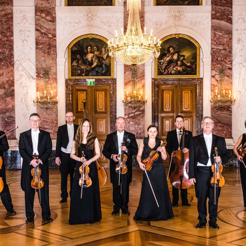 Die Musiker:innen des Kurpfälzischen Kammerorchesters im Rittersaal Schloss Mannheim (Foto: Pressestelle, ©Klaus Hecke)