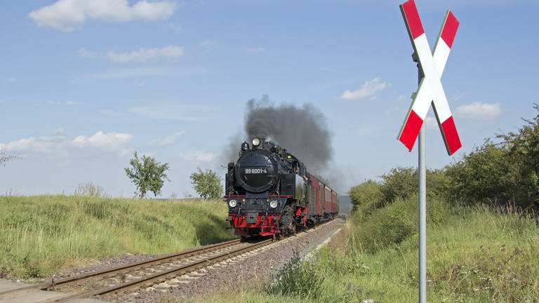 Dampfzug der Selketalbahn bei Quarmbeck, Harz, Sachsen-Anhalt (Foto: IMAGO, IMAGO / imagebroker)