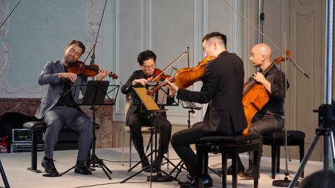 Dover Quartet bei den Schwetzinger SWR Festspielen 2023 (Foto: SWR, Anna Jenetzky)