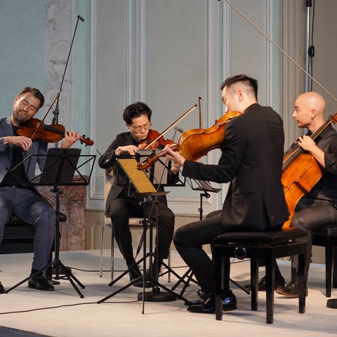 Dover Quartet bei den Schwetzinger SWR Festspielen 2023 (Foto: SWR, Anna Jenetzky)