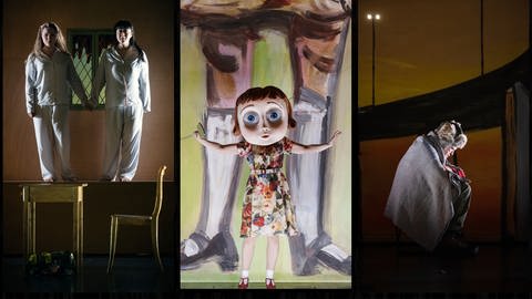 Collage aus Bühnenbild von Zemira e Azor bei der Schwetzinger SWR Festspielen (Foto: Pressestelle, Christian Kleiner)