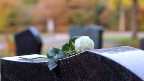 Weiße Rose auf einem Grabstein. Weitere Grabsteine unscharf im Hintergrund zu sehen (Foto: IMAGO, IMAGO / CHROMORANGE)