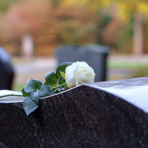 Weiße Rose auf einem Grabstein. Weitere Grabsteine unscharf im Hintergrund zu sehen (Foto: IMAGO, IMAGO / CHROMORANGE)