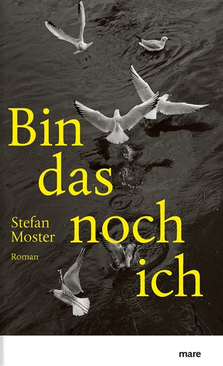 Buchcover: Möven auf dem Wasser (schwarzweiß). Buchtitel in gelber Schrift (Foto: Mare verlag)