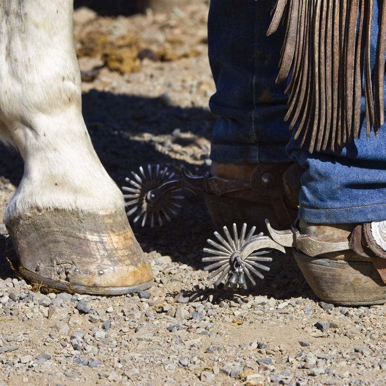 Pferdehuf neben den Sporen eines Cowboys (Foto: IMAGO, IMAGO / imagebroker/wothe)