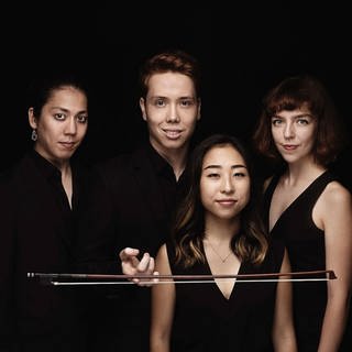 Das Leonkoro Quartett (Foto: Pressestelle, Nikolaj Lund)