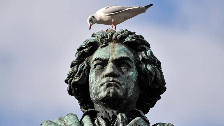 Beethoven-Statue (Foto: picture-alliance / Reportdienste, Martin Meissner)