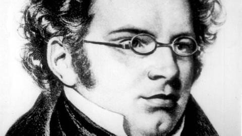 Franz Schubert (Foto: picture-alliance / dpa, picture-alliance / dpa -)