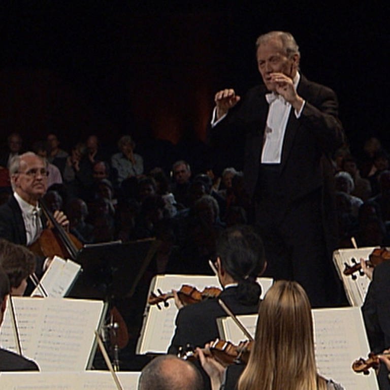 Dirigent und Orchester (Foto: SWR)