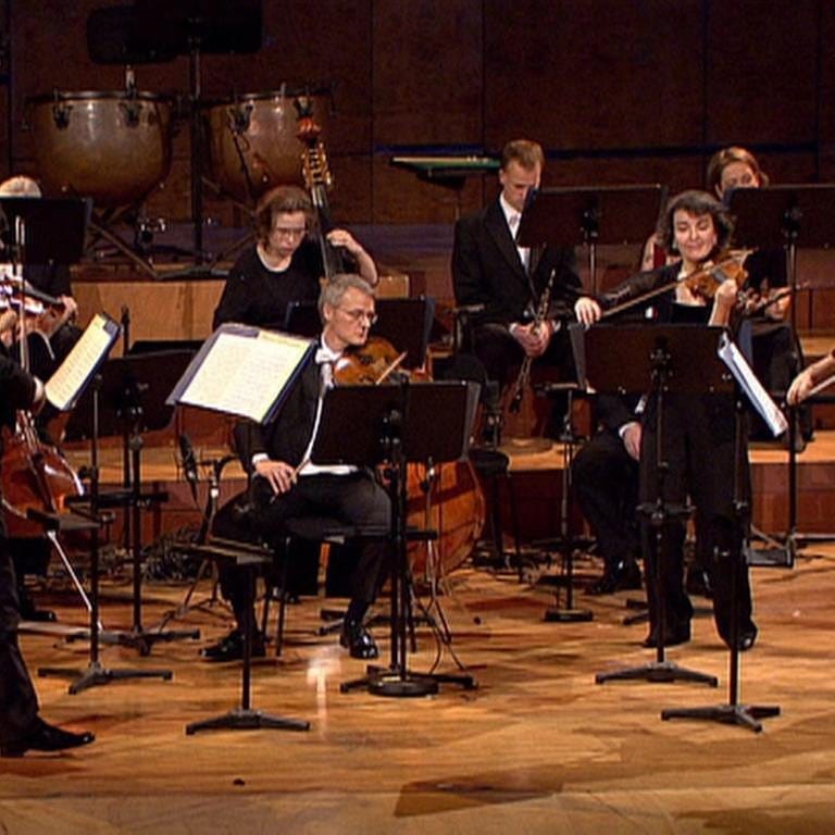 Orchestermusiker (Foto: SWR, SWR -)